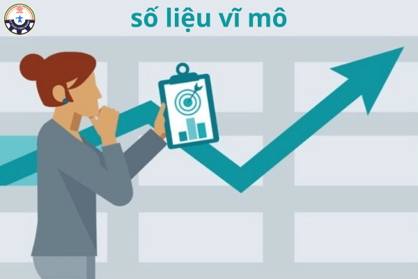 2. Số liệu thống kê từ nguồn chính thống về thị trường việc làm năm 2026